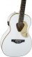 Penguin Acoustic Acoustic Collection Lrl White