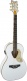 Penguin Acoustic Acoustic Collection Lrl White