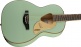 G5021E Penguin Parlor Rancher Mint Metallic