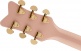 G5021E RANCHER PENGUIN PARLOR ACOUSTIC-ELECTRIC SHELL PINK