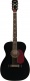 Signature Nick 13 Concert