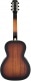 G9220 BOBTAIL ROUND-NECK A.E., MAHOGANY BODY SPIDER CONE RESONATOR GUITAR, FISHMAN NASHVILLE RESONAT