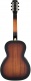 Resonator Roots Pdk 2-Color Sunburst