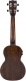 G9110-L A.E. CONCERT LONG-NECK UKULELE WITH GIG BAG OVKGL, FISHMAN KULA PICKUP, VINTAGE MAHOGANY STA