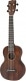 G9110-L A.E. CONCERT LONG-NECK UKULELE WITH GIG BAG OVKGL, FISHMAN KULA PICKUP, VINTAGE MAHOGANY STA