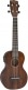 G9110-L A.E. CONCERT LONG-NECK UKULELE WITH GIG BAG OVKGL, FISHMAN KULA PICKUP, VINTAGE MAHOGANY STA