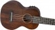 G9110-L A.E. CONCERT LONG-NECK UKULELE WITH GIG BAG OVKGL, FISHMAN KULA PICKUP, VINTAGE MAHOGANY STA