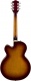 G2420T Streamliner Lrl Havana Burst