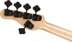 Pro Concert Bass Signature Gladys Adam Blackstone Mn