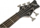 JS SPECTRA BASS JS3V LRL, WALNUT STAIN