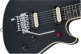 Wolfgang Usa Signature Edward Van Halen Ebo Stealth