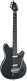 Wolfgang Usa Signature Edward Van Halen Ebo Stealth