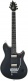 Wolfgang Usa Signature Edward Van Halen Ebo Stealth