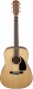 CD-60 DREADNOUGHT V3 DS WLNT, NATURAL + COVER