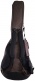 B-61-Cm4-Fretless