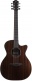 Dark Yellow Orchestra Cw Rr Lrb1