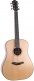 Green Dreadnought Sm