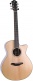 Green Grand Auditorium Sr Cut Lrb1