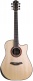 Ldt Dread Cw Lr