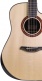 Ldt Dread Cw Lr