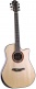 Ldt Dread Cw Lr