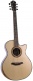 Red Deluxe Grand Cw Lr Lrb1