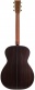 Vintage 3 Orchestra Sr