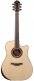 Yellow Dreadnought Sr Cut Lrb1