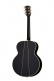 Sj-200 Signature Elvis Ebony Cs Mc