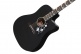 Songwriter Signature Dave Mustaine Ebony CS MC