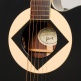 Songwriter Signature Jerry Cantrell Ebony CS MC