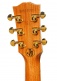 Songwriter Signature Jerry Cantrell Ebony Cs Mc
