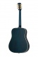 Bluebird Signature Miranda Lambert 