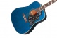 Bluebird Signature Miranda Lambert 