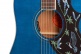 Bluebird Signature Miranda Lambert 
