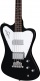 Non-Reverse Thunderbird Ebony