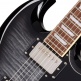 SG Tribute Plus Transparent Ebony