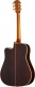 Hummingbird Deluxe Ec Autumn Burst