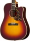 Hummingbird Deluxe Ec Autumn Burst