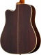 Hummingbird Deluxe Ec Autumn Burst