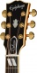 Hummingbird Deluxe Ec Autumn Burst