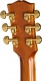 Hummingbird Deluxe Ec Autumn Burst