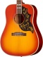 Hummingbird Reissue 1960