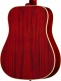 Hummingbird Reissue 1960