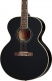 J-180 Ls Ebony Ibgcs