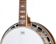 Mastertone Classic Banjo Natural Ibgcs