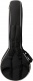 Mastertone Classic Banjo Natural Ibgcs