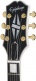 Sg Custom Alpine White Ibgcs