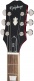 Sg Standard Cherry Ibgcs