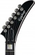 Extura Prophecy Aged Bengal Tiger Burst Ibgcs